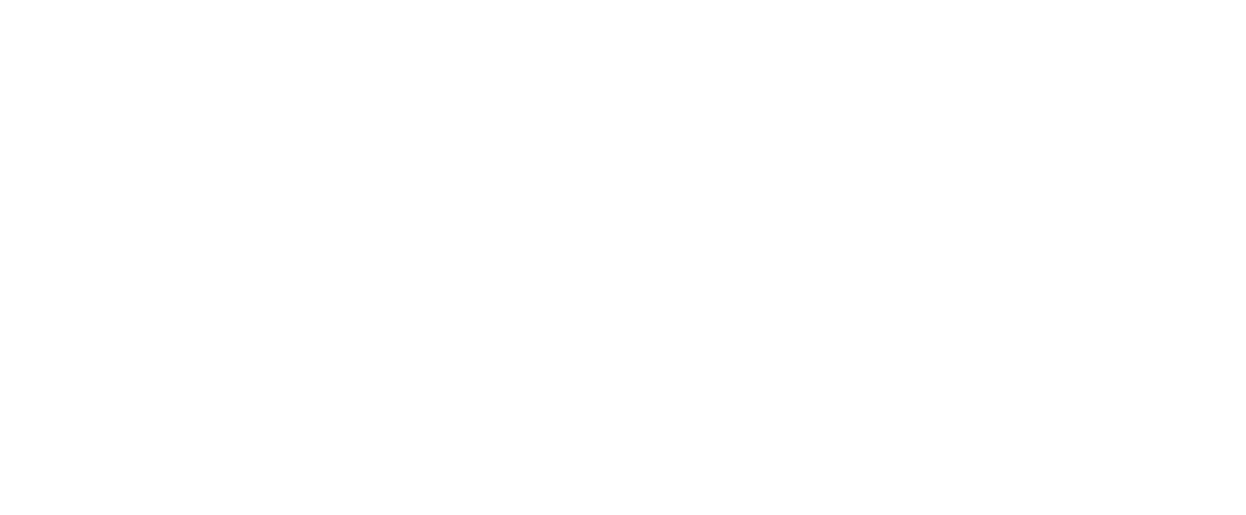 Logo RIB Logísticas